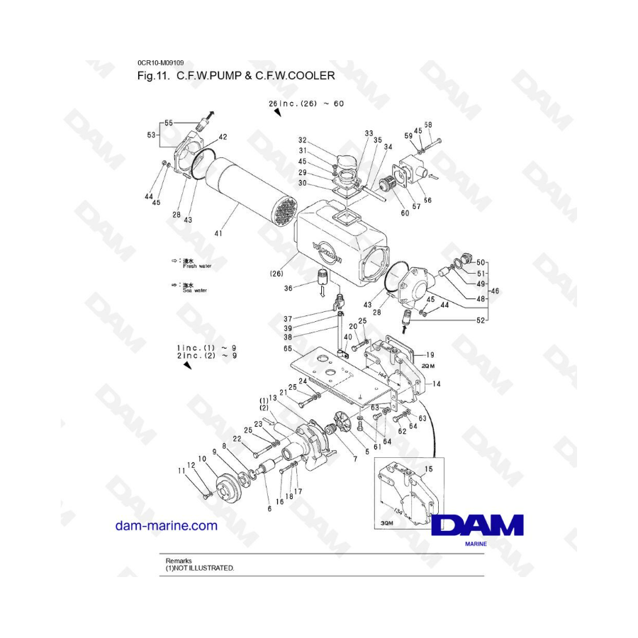 Yanmar 3QM - C.F.W Pump & C.F.W Cooler