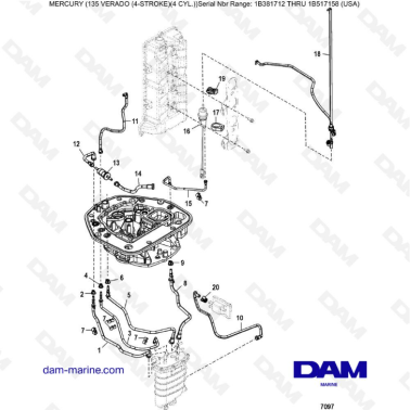 Mercury Verado 135 (SN 1B381712 à 1B517158) - Adaptor plate hose routings