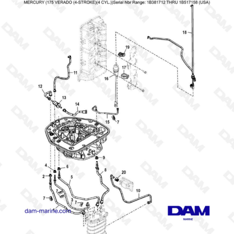 Mercury Verado 175 NS 1B381712 a 1B517158 - Enrutamiento de la manguera de la placa adaptadora