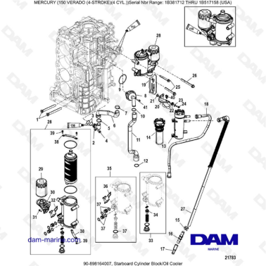Mercury Verado 150 (SN 1B381712 à 1B517158) - Starboard cylinder block/oil cooler
