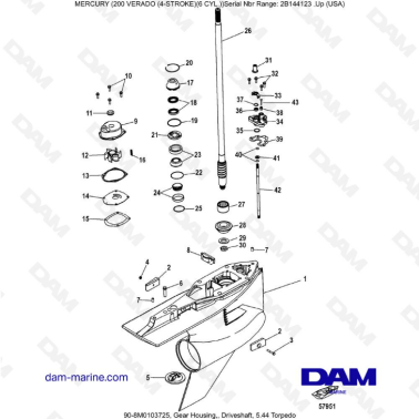 Mercury Verado 200 (6 cylindres) - Gear housing, driveshaft 5.44 torpedo