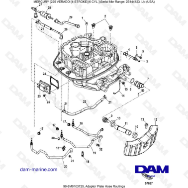 Mercury 225 Verado (2B144123 & +) - Adaptor plate hose routings