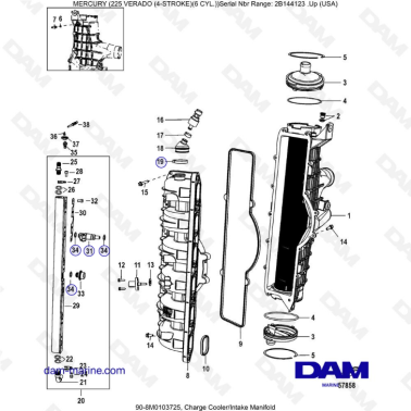 Mercury 225 Verado (2B144123 & +) - Charge cooler/Intake manifold