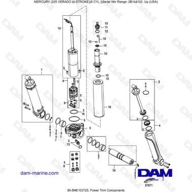Mercury 225 Verado (2B144123 & +) - Power Trim/Transom assembly