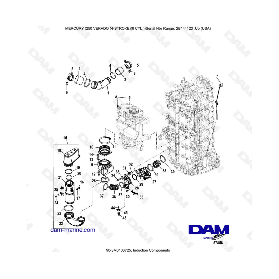 Mercury 225 Verado (SN 2B144123 & +) - Induction components