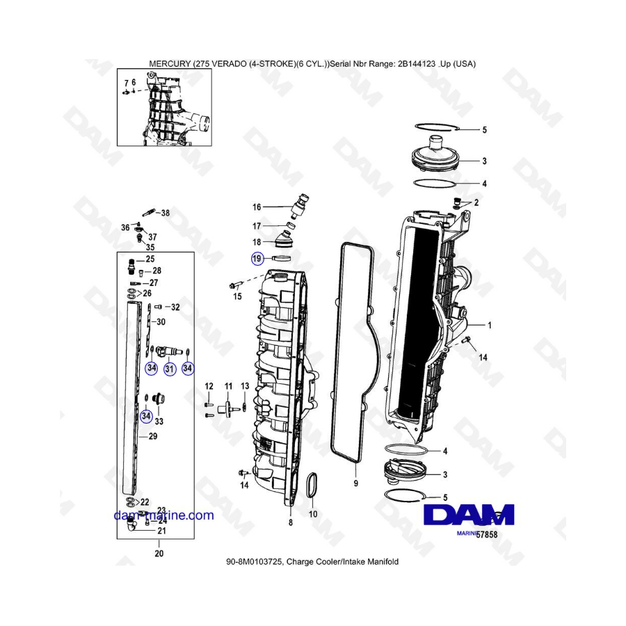Mercury 275 Verado (6 Cyl) (SN 2B144123 & +) - Charge cooler/Intake manifold 