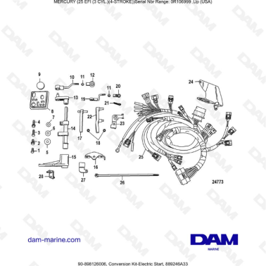 Mercury EFI 25 hp - Kit de...