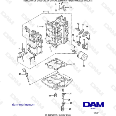 Mercury EFI 25cv - Cylinder...