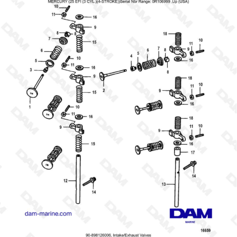 Mercury 25 EFI - Intake/Exhaust valves