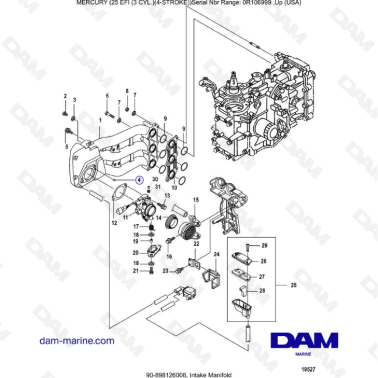 Mercury 25 EFI - Intake manifold