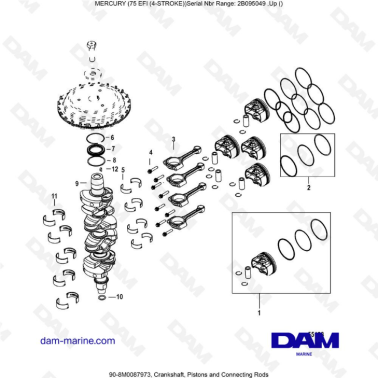 Mercury 75 EFI - Crankshaft, pistons & connecting rods