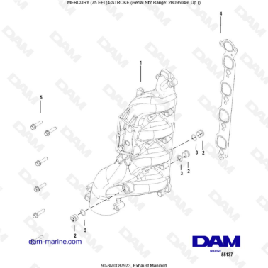 Mercury 75 EFI - Exhaust manifold