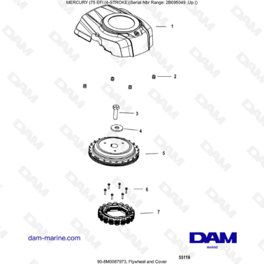 Mercury 75 EFI - Flywheel & cover