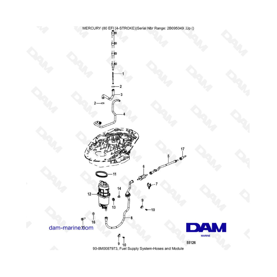 Mercury 90 EFI - Sistema de suministro de combustible: mangueras y módulo