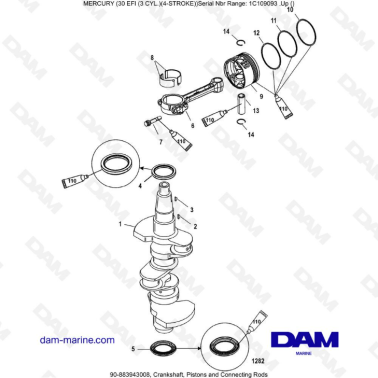 Mercury 30 EFI - Crankshaft, Pistons and Connecting Rods