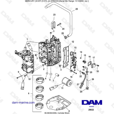 Mercury 30 EFI - Bloque de...
