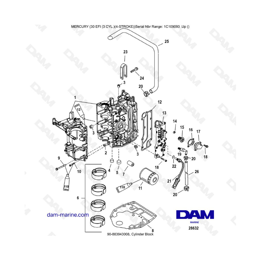 Mercury 30 EFI - Cylinder block 