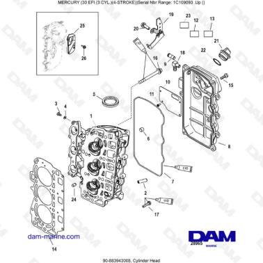 Mercury 30 EFI - Cylinder head