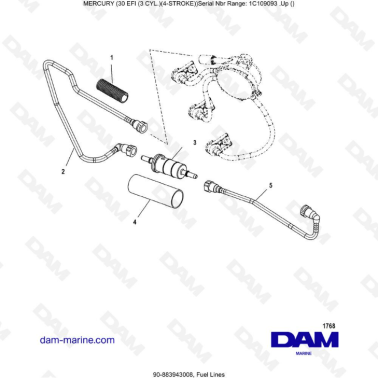 Mercury 30 EFI - Fuel lines