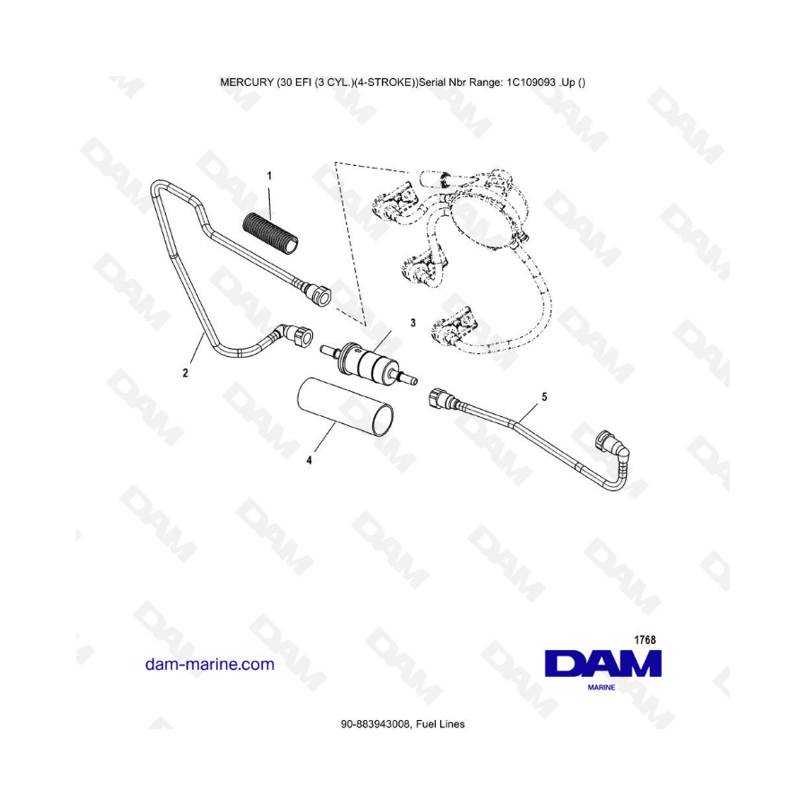 Mercury 30 EFI - Fuel lines