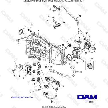Mercury 30 EFI - Intake manifold