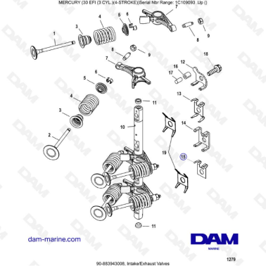Mercury 30 EFI - Intake/Exhaust valves