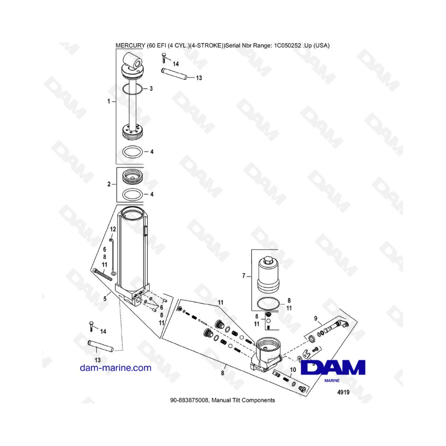 Mercury 60 EFI - Manual tilt components