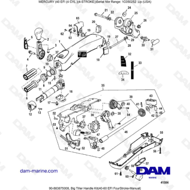 Mercury 40 EFI - Kit de...