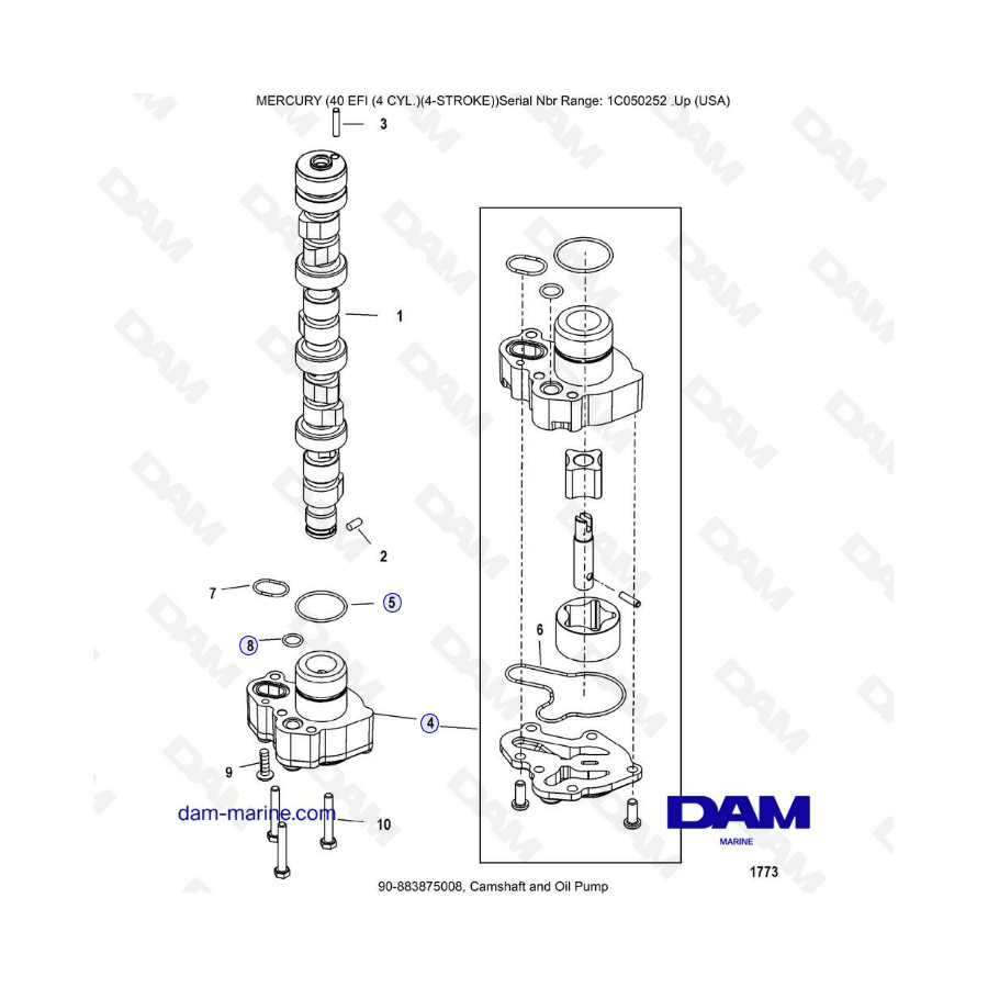 Mercury 40 EFI - Camshaft & oil pump 