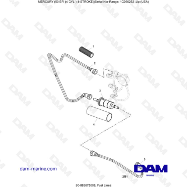 Mercury 50 EFI - Fuel lines