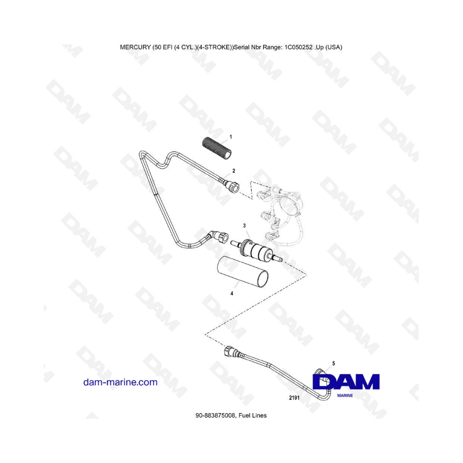 Mercury 50 EFI - Fuel lines
