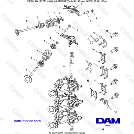 Mercury 50 EFI - Intake/Exhaust valves