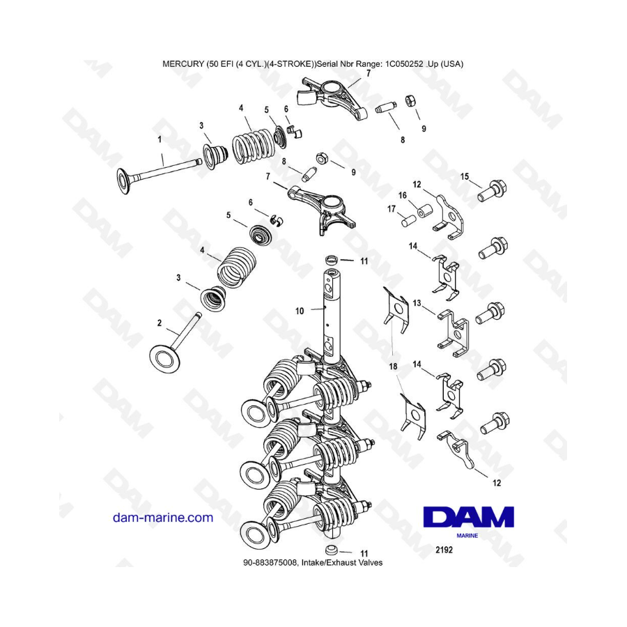 Mercury 50 EFI - Intake/Exhaust valves