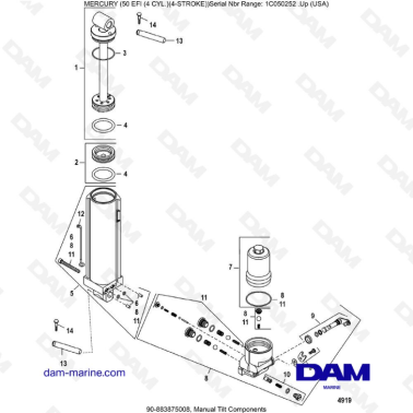 Mercury 50 EFI - Manual Tilt Components