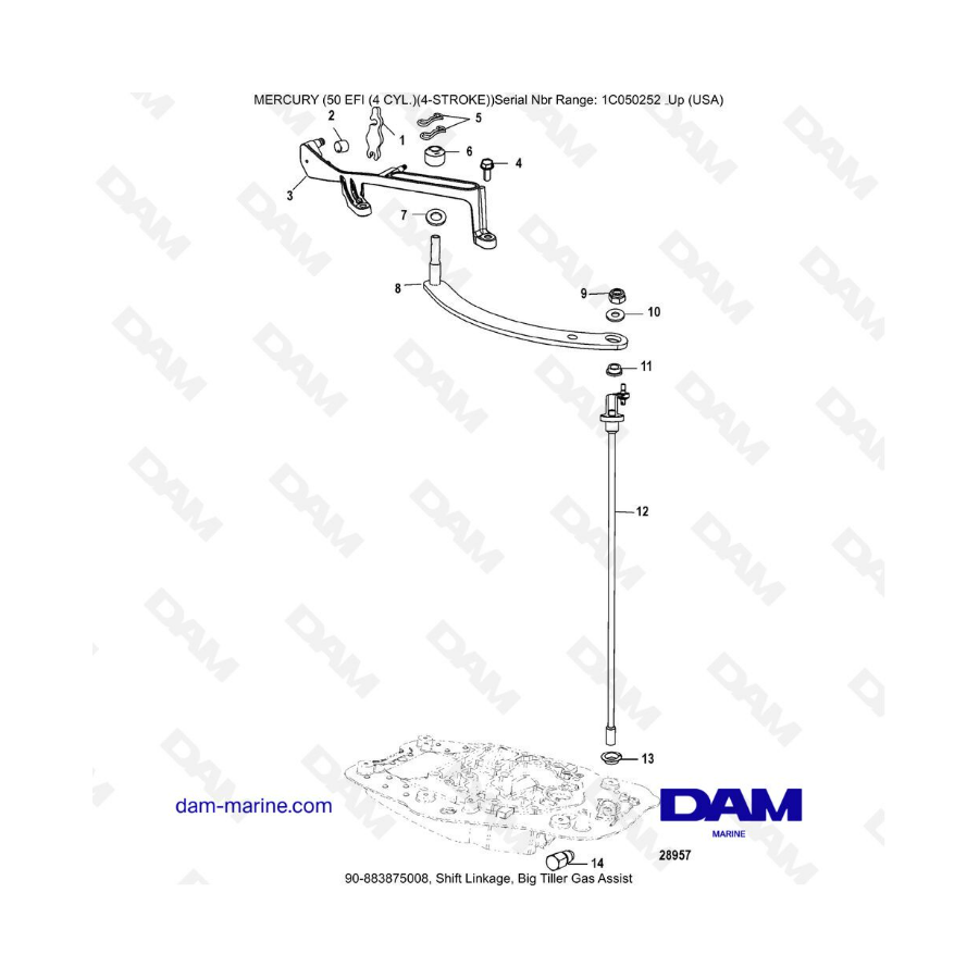 Mercury 50 EFI - Shift linkage, big tiller gas assist