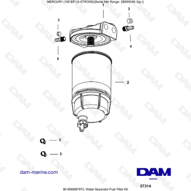 Mercury 100 EFI - Water...