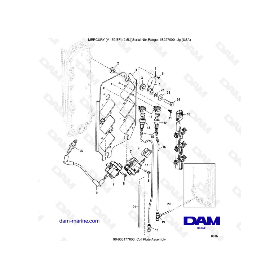 Mercury V-150 EFI (2.5L) - Coil Plate Assembly