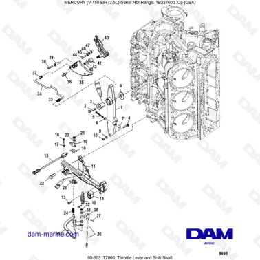 Mercury V-150 EFI (2.5L) - Throttle Lever and Shift Shaft