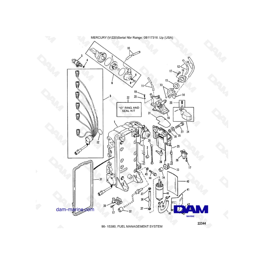 Mercury Mariner V-220 - FUEL MANAGEMENT SYSTEM