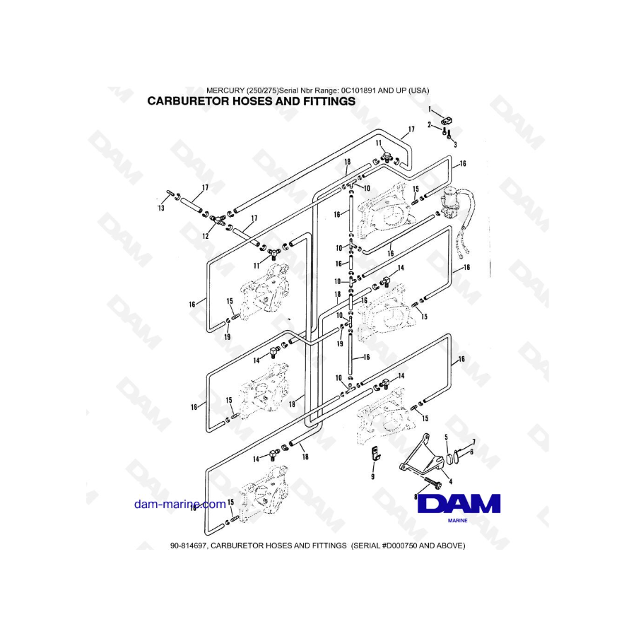 MERCURY (250/275) - CARBURETOR HOSES AND FITTINGS (SERIAL D000750 AND ABOVE)