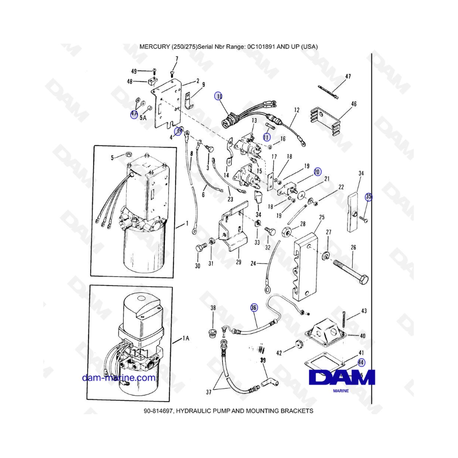 MERCURY (250/275) - HYDRAULIC PUMP AND MOUNTING BRACKETS
