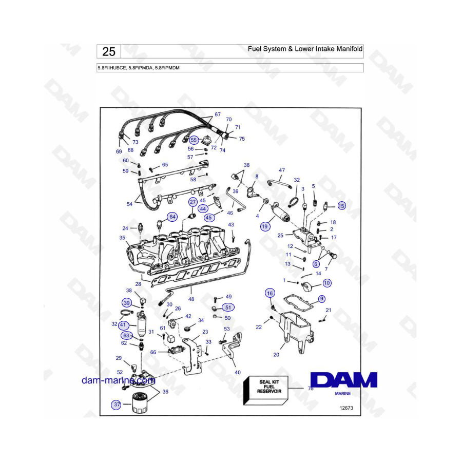 VOLVO PENTA 5.8FIIHUBCE, 5.8FiPMDA, 5.8FiPMDM - Fuel System & Lower Intake Manifold
