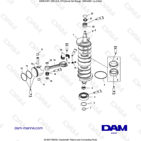 MERCURY 250 EFI 3.0L - Crankshaft, Pistons and Connecting Rods