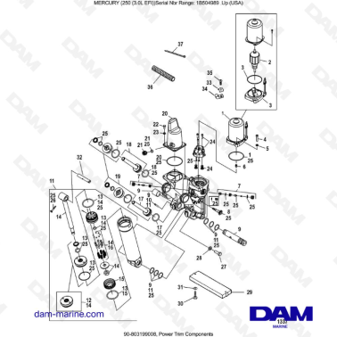 MERCURY 250 EFI 3.0L - Power Trim Components