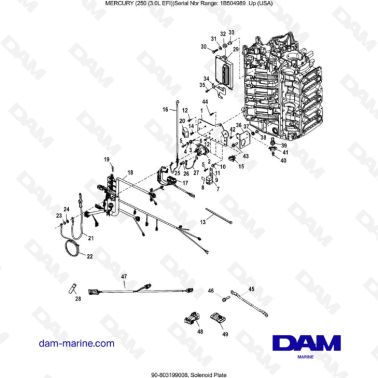 MERCURY 250 EFI 3.0L - Solenoid Plate