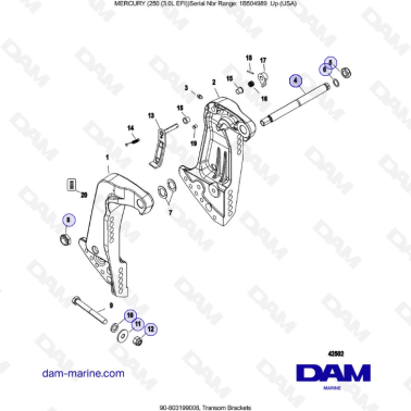 MERCURY 250 EFI 3.0L - Transom Brackets