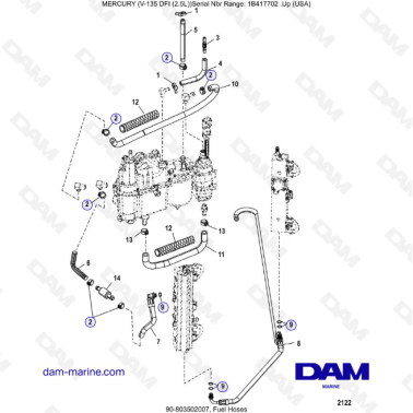 Mercury V-135 Optimax - Fuel Hoses