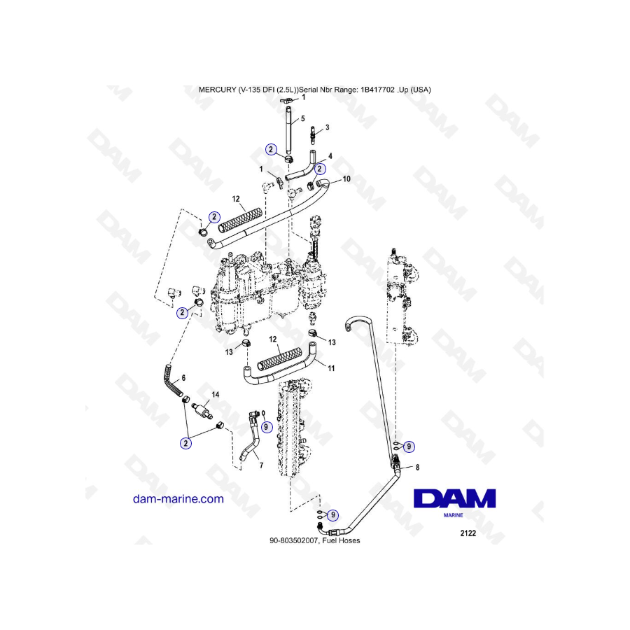 Mercury V-135 Optimax - Fuel Hoses