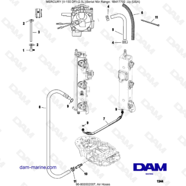 Mercury V-150 DFI (2.5L) - Air Hoses