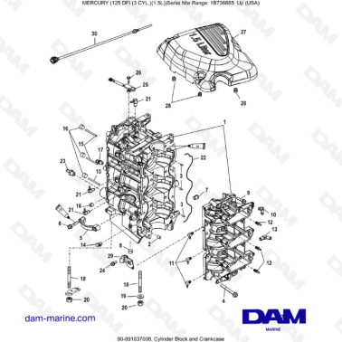 Mercury 125 DFI 1.5L - Cylinder Block and Crankcase